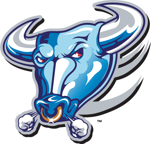 Buffalo Bulls 1997-2006 Alternate Logo iron on transfers for T-shirts